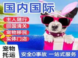 集宁空运公司国际宠物托运 【国